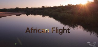 African flight